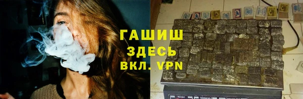 твердый Михайлов