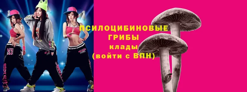 Псилоцибиновые грибы Magic Shrooms  Мамоново 